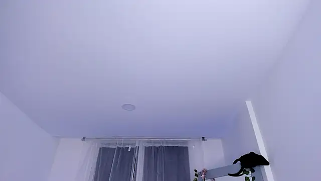 Snapshot of _mia_collins_b_ chatting on 01/29/25, 01:48  mia collins b  online show from 01/29/25, 01:48