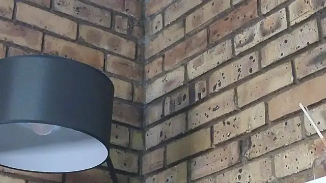 Astoria Moon online show from 01/14/26, 12:22