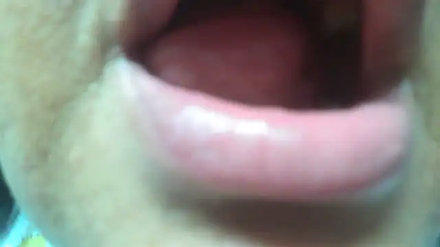 Shanttal0272 online show from 03/29/26, 04:56