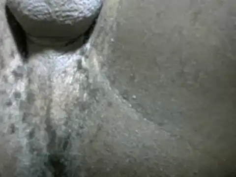 Whitelover online show from 02/24/25, 12:30