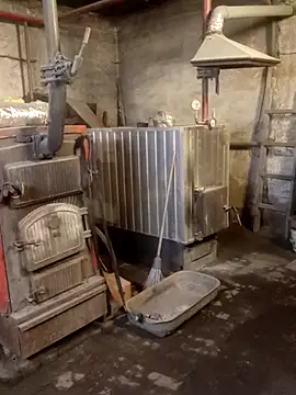 MityaXLoves online show from 10/31/25, 05:58