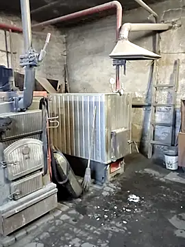 MityaXLoves online show from 12/22/25, 06:49