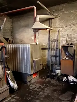 MityaXLoves online show from 01/31/26, 07:11