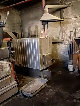 MityaXLoves online show from 04/17/26, 06:44