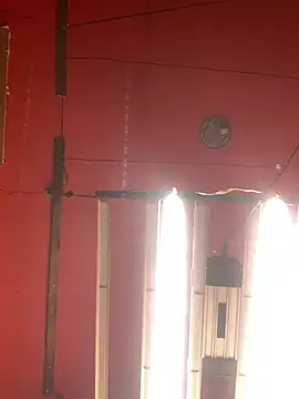 Bigtoyaddict online show from 02/11/26, 12:43