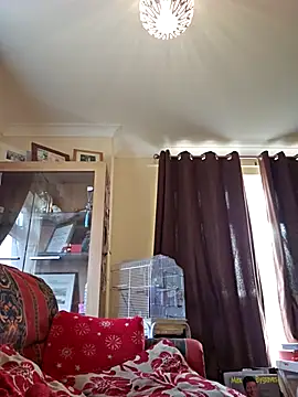 meateater1 online show from 11/20/25, 10:48