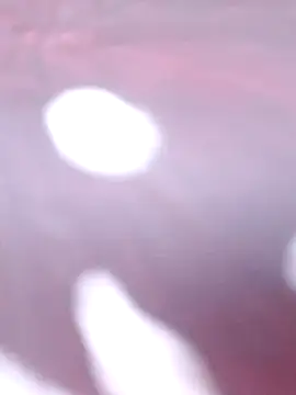 Priya Bong online show from 12/16/25, 02:27