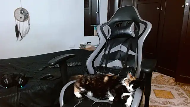 Snapshot of aaron_blug chatting on 01/17/25, 04:06 aaron blug online show from 01/17/25, 04:06