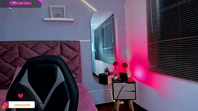 Snapshot of cattaleya___ chatting on 01/30/25, 04:06 cattaleya    online show from 01/30/25, 04:06