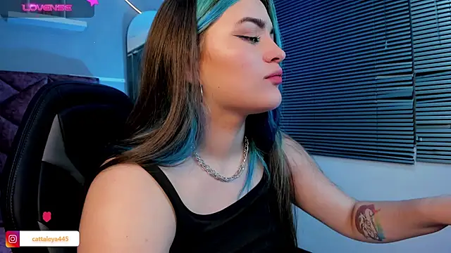 Snapshot of cattaleya___ chatting on 02/06/25, 09:43 cattaleya    online show from 02/06/25, 09:43