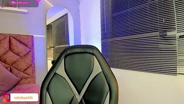 Snapshot of cattaleya___ chatting on 02/08/25, 06:22 cattaleya    online show from 02/08/25, 06:22