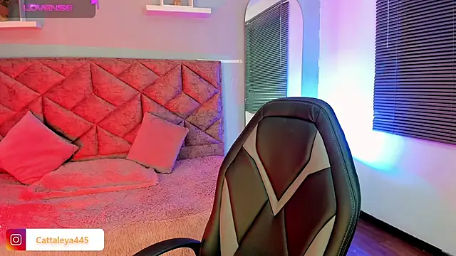 Snapshot of cattaleya___ chatting on 02/15/25, 04:47 cattaleya    online show from 02/15/25, 04:47