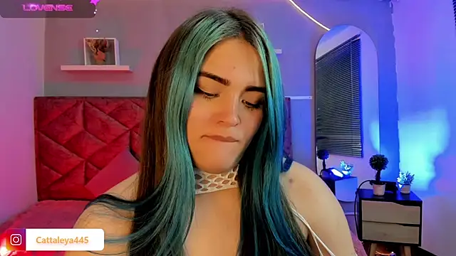 Snapshot of cattaleya___ chatting on 02/18/25, 06:59 cattaleya    online show from 02/18/25, 06:59