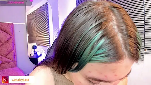 Snapshot of cattaleya___ chatting on 02/19/25, 06:44 cattaleya    online show from 02/19/25, 06:44