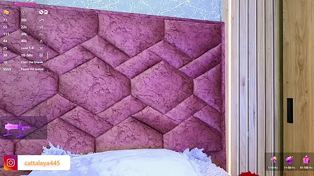 Snapshot of cattaleya___ chatting on 03/15/25, 11:06 cattaleya    online show from 03/15/25, 11:06