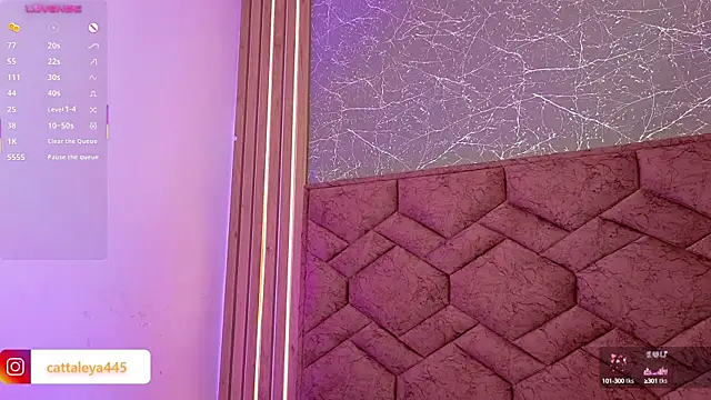 Snapshot of cattaleya___ chatting on 03/19/25, 09:17 cattaleya    online show from 03/19/25, 09:17