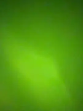 nene fun online show from 01/31/26, 10:08