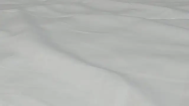 Snapshot of kamila_twink_sexy chatting on 03/27/26, 02:50 kamila twink sexy online show from 03/27/26, 02:50