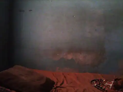 little  joy online show from 11/05/25, 01:44