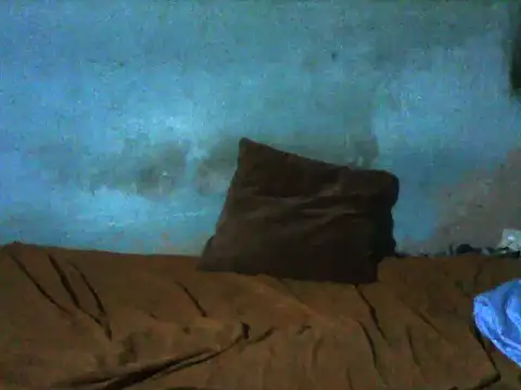 little  joy online show from 12/16/25, 11:32