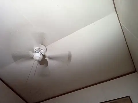 Xoc8  online show from 12/14/25, 04:34