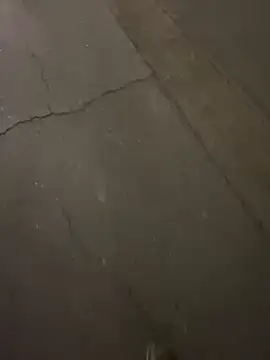 Snapshot of ToAnWTW chatting on 03/25/26, 12:49 ToAnWTW online show from 03/25/26, 12:49