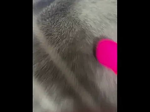 Snapshot of boypussyfist chatting on 02/13/26, 05:47 boypussyfist online show from 02/13/26, 05:47