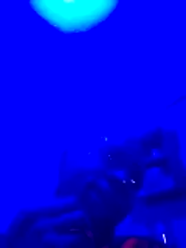 Brian johns online show from 03/23/26, 09:08