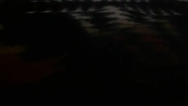Jacknjimmyjohn online show from 08/02/26, 09:52