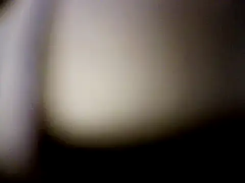 Snapshot of Mic_Oxinner chatting on 12/07/24, 03:25 Mic Oxinner online show from 12/07/24, 03:25