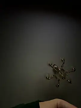 Jose rz online show from 03/23/26, 06:50