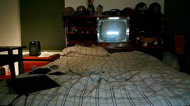 pimpdaddy4ever online show from 04/15/26, 03:24