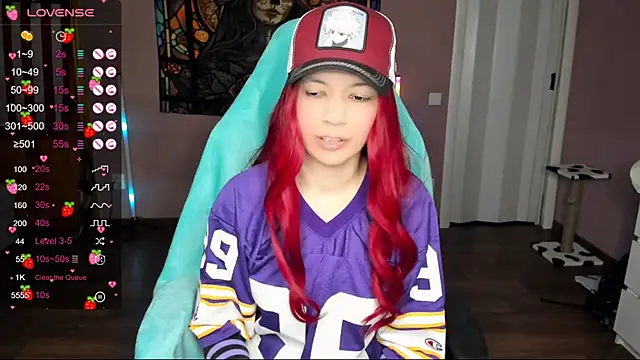 Project hisoka online show from 12/30/24, 05:44