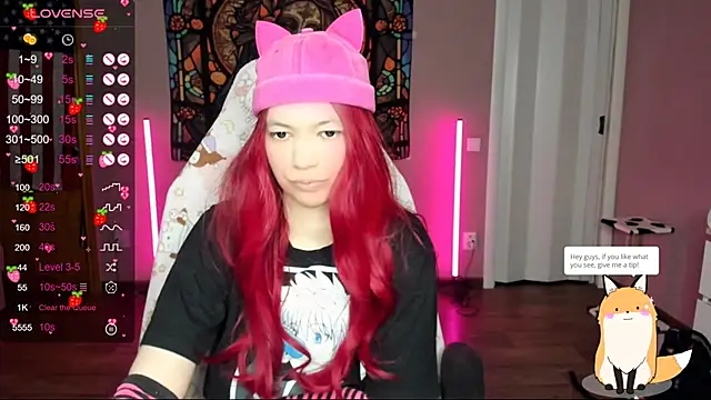 Project hisoka online show from 01/10/25, 09:34