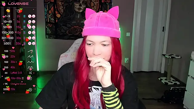 Project hisoka online show from 01/11/25, 03:52