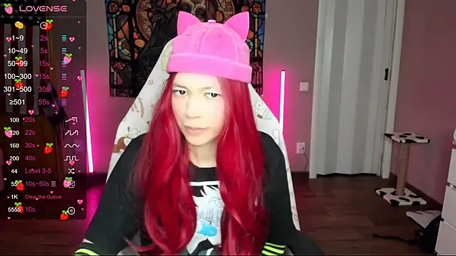 Project hisoka online show from 01/12/25, 10:02