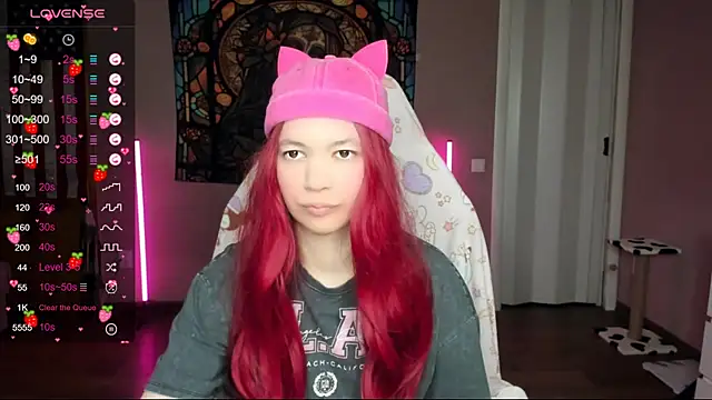 Project hisoka online show from 01/17/25, 02:29