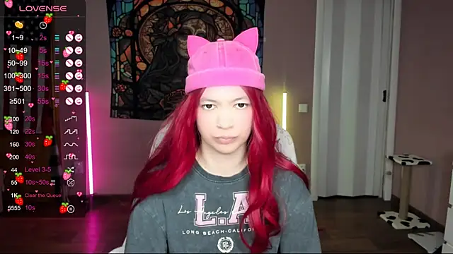 Project hisoka online show from 01/19/25, 03:39