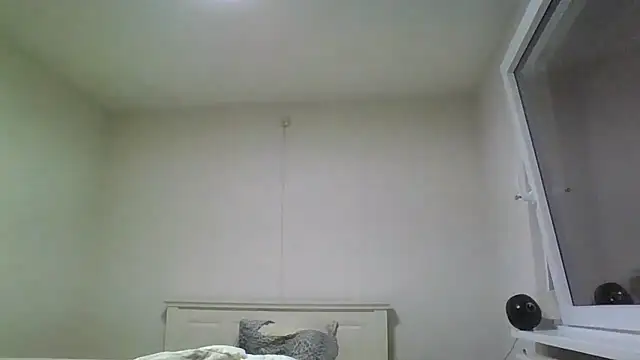 Wesleymodel online show from 02/10/26, 07:18