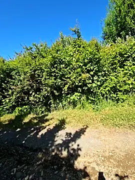 Reinacatchile online show from 12/14/24, 07:36