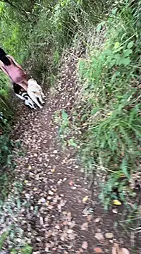 Reinacatchile online show from 02/04/25, 10:55