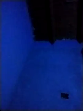 pmalvado912 online show from 03/28/26, 05:07