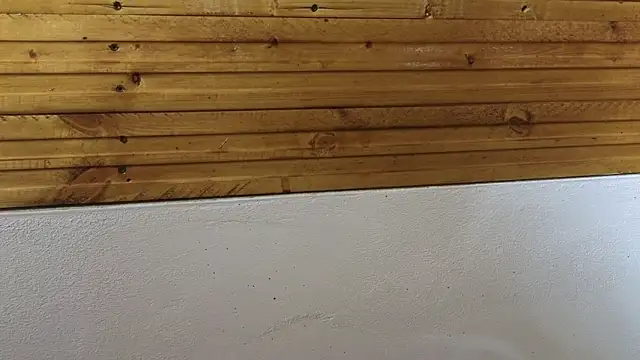 00loret online show from 02/20/25, 03:30