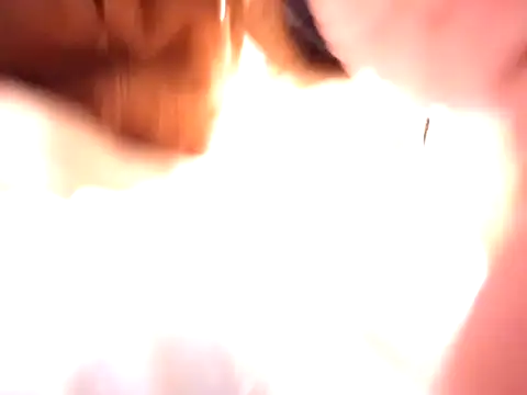 pnp0Japan online show from 12/31/24, 03:09