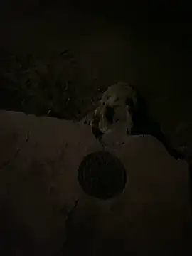 nowex18 online show from 03/06/25, 06:52