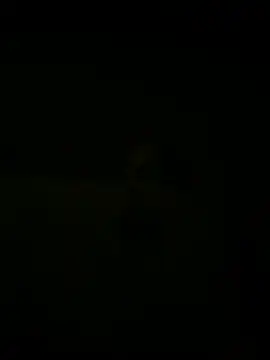 nowex18 online show from 03/18/25, 05:41