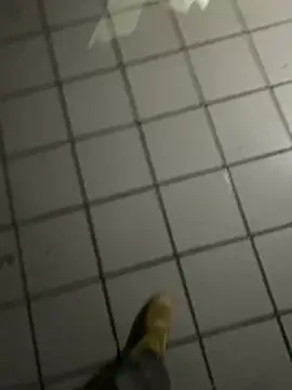 nowex18 online show from 02/20/26, 04:53