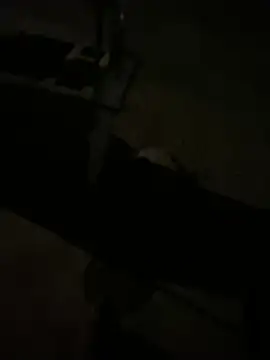 nowex18 online show from 03/11/26, 06:41