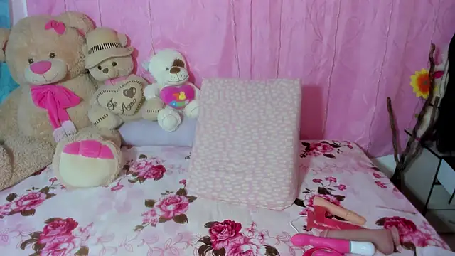 Dana Jeins online show from 11/27/25, 01:13