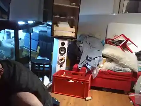 0815lukas2024 online show from 12/21/24, 03:58